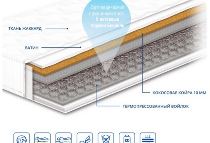 Матрас Чемпион кокос 1