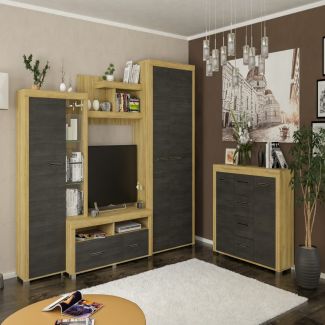 Стенка для гостинной Неон 2 + Комод 2Д4Ш (северное дерево)