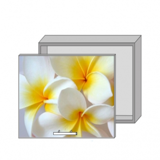 Кухня В-62 фотодрук Mirror Gloss