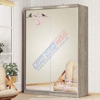 Шафа-купе 170см. Ф-5333/Ф-5334 2Д (Дзеркало) без ящ.