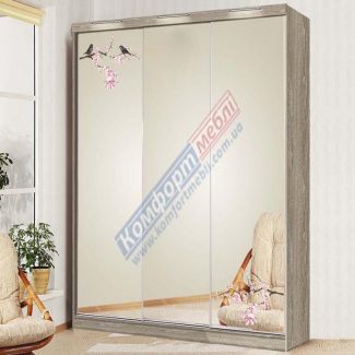Шкаф-купе 270см. Ф-5355/Ф-5356 3Д (Зеркало) без ящ.